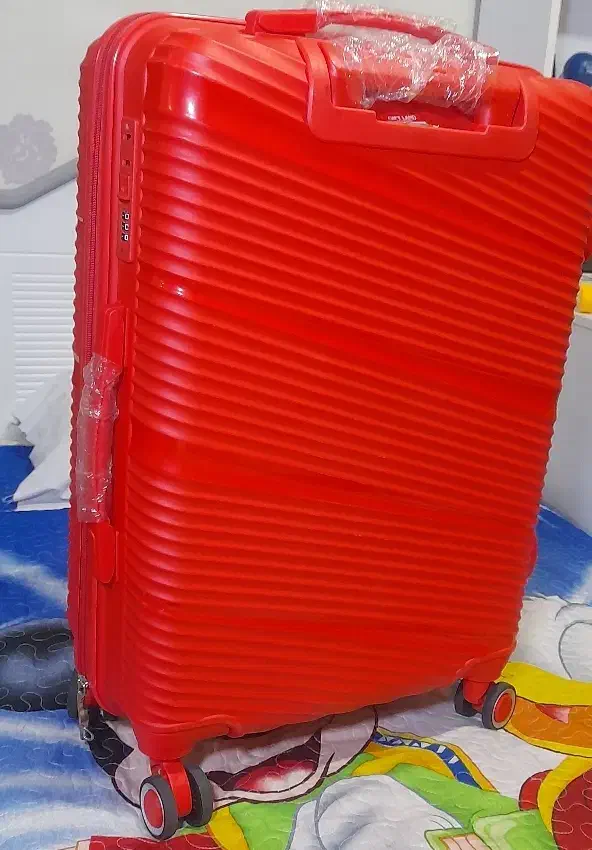 چمدان با اندازه متوسط|کیف، کفش، کمربند|همدان, |دیوار