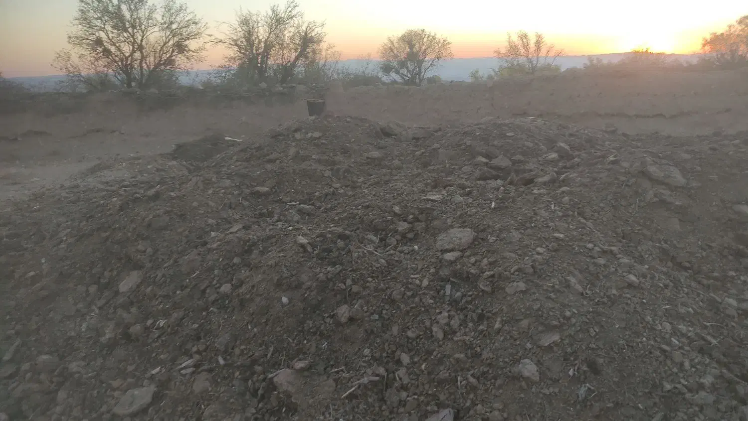 کود گاوی|خدمات باغبانی و درختکاری|مود, |دیوار