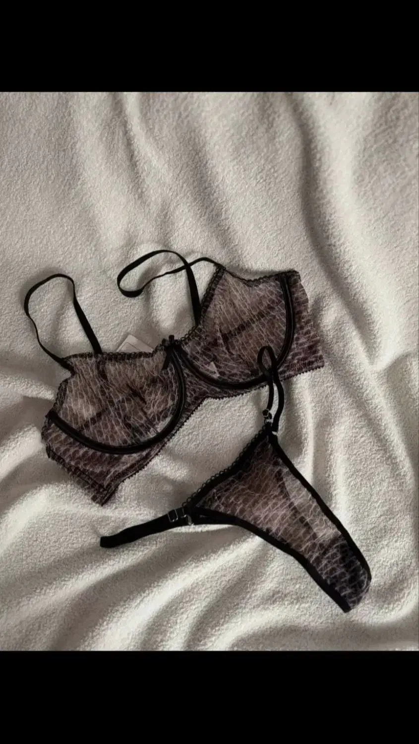 سوتین فانتزی مدل جدیدموجوده|لباس|چگنی, |دیوار