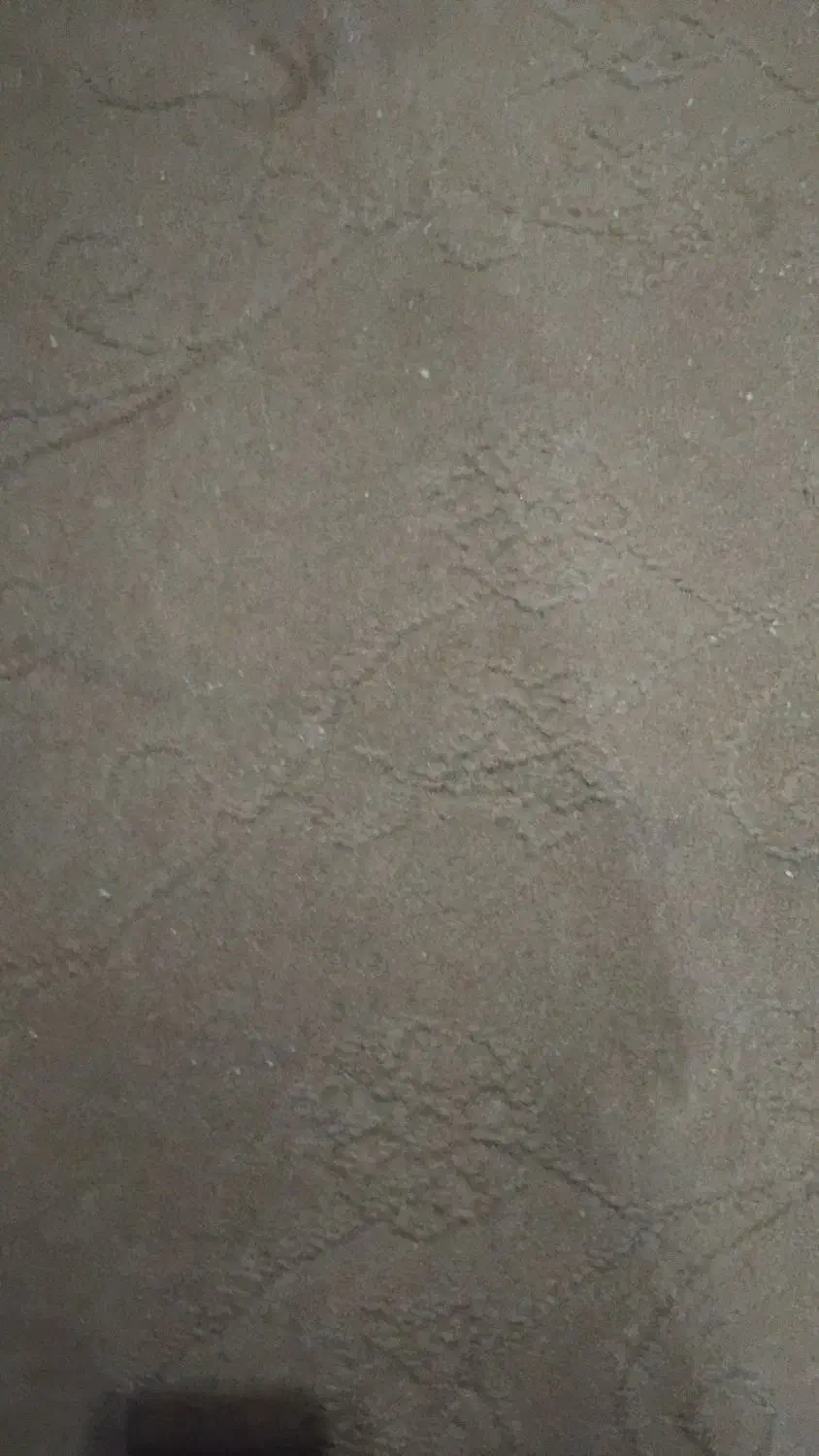 موکت|موکت|قزوین, |دیوار