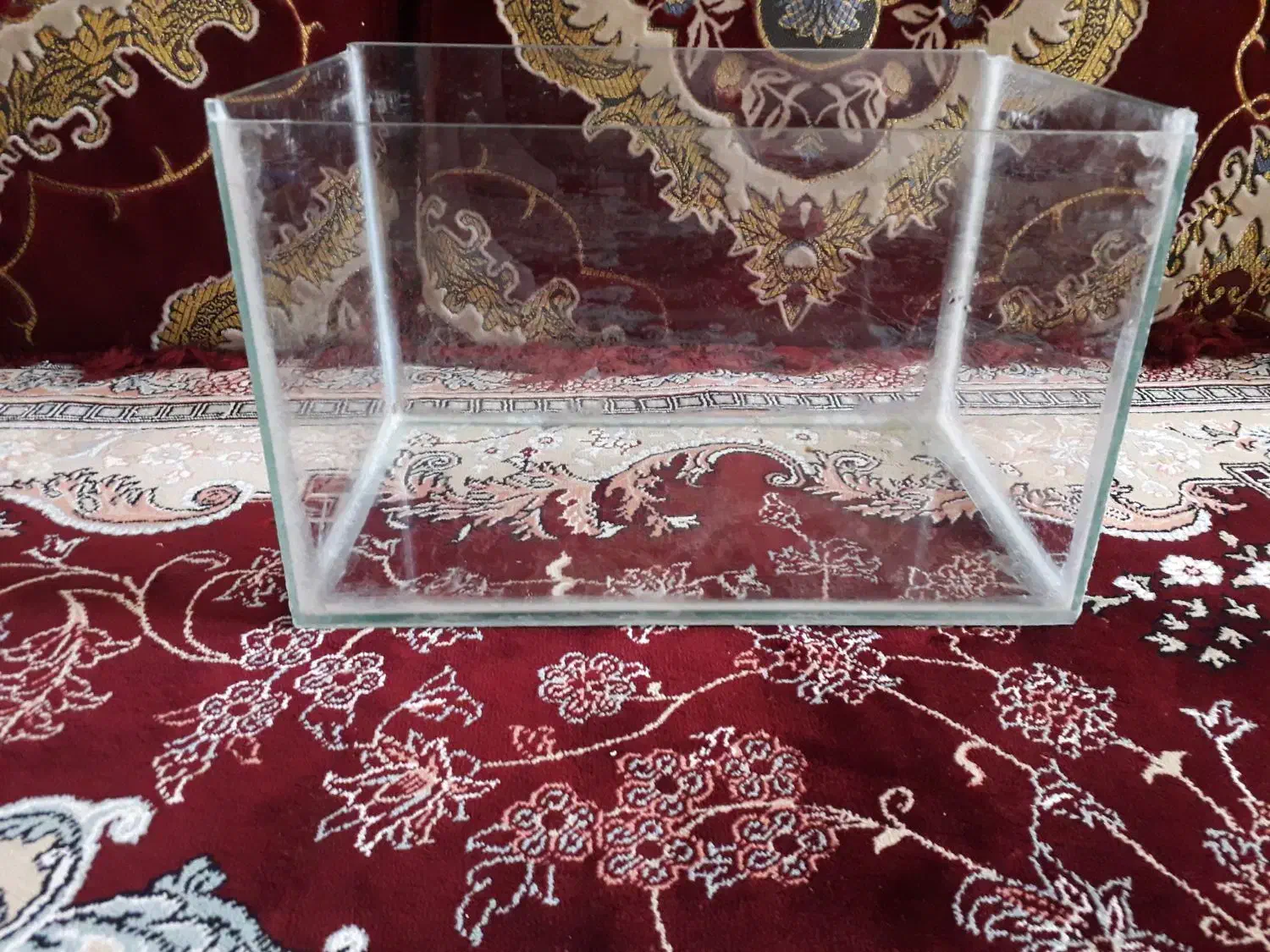 آکواریوم|ماهی|ابهر, |دیوار