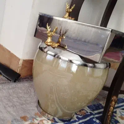 سطل زباله و دستمال کاغذی|لوازم نظافت|نورآباد, |دیوار