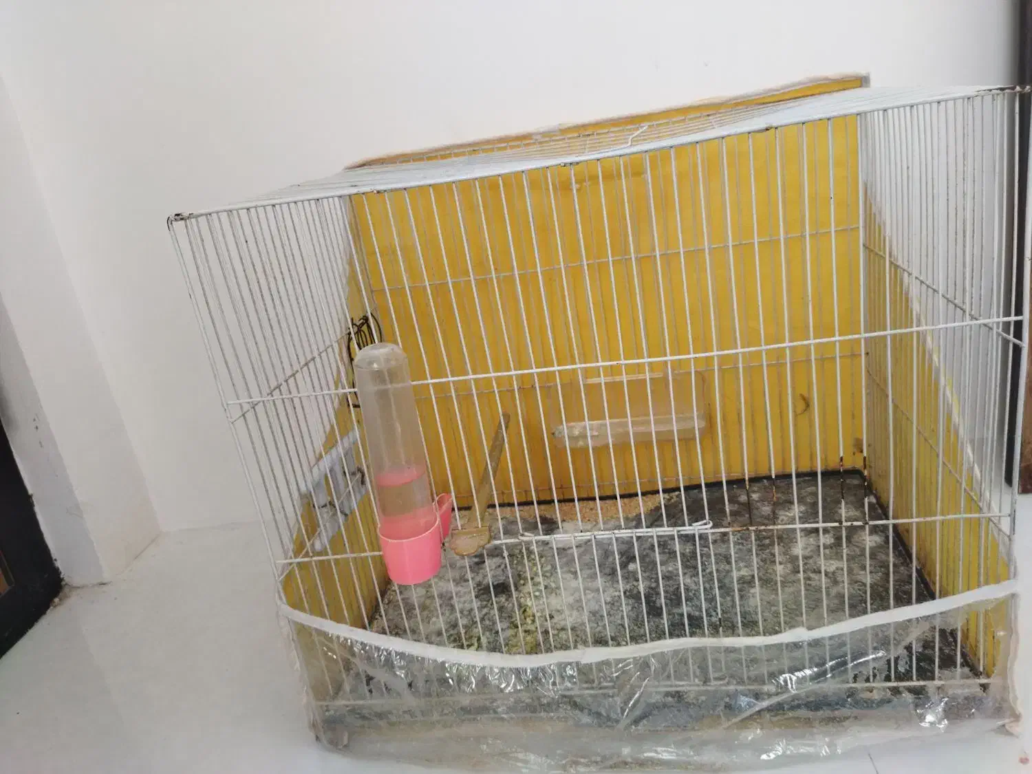 قفس با لوازم|لوازم جانبی حیوانات|مشهد, ایثار|دیوار