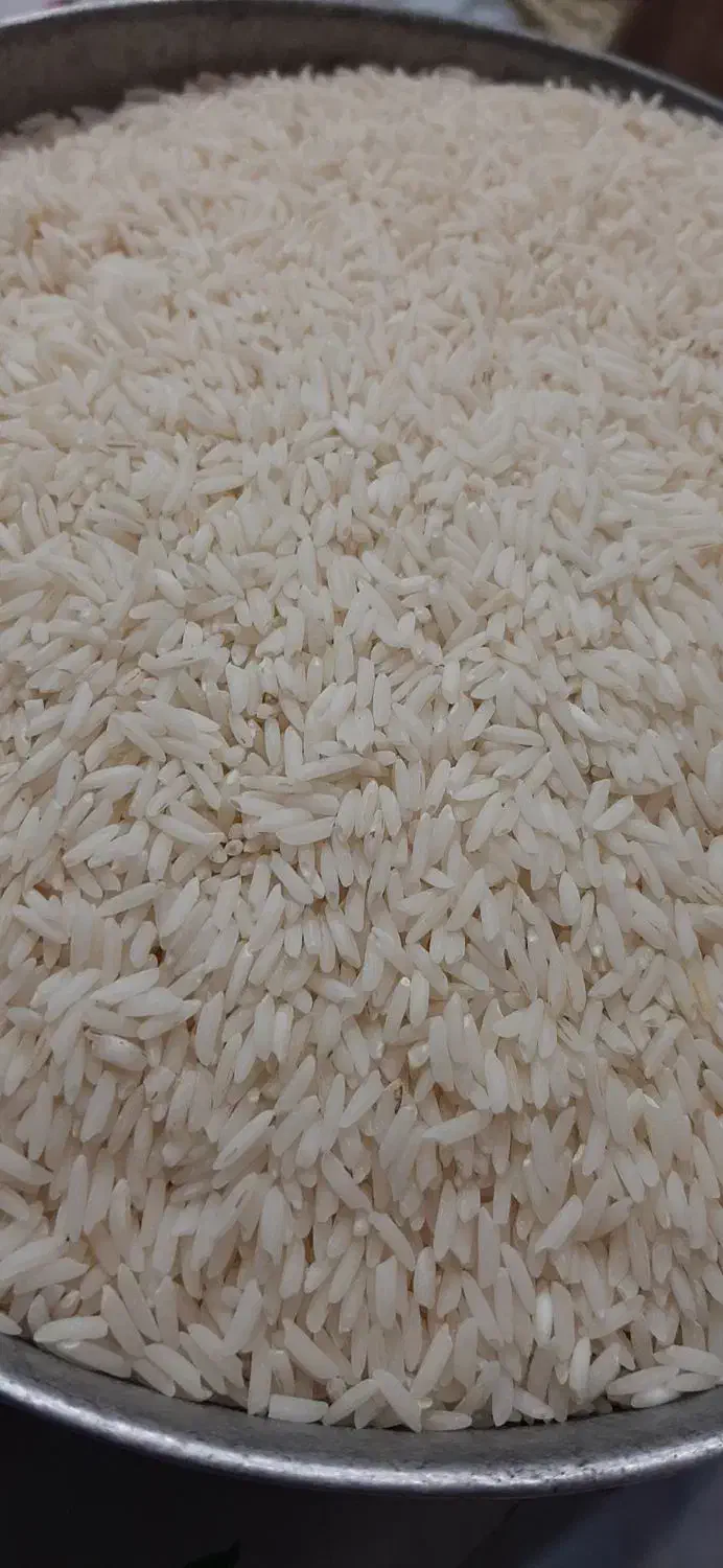 برنج محلی|خوردنی و آشامیدنی|رشت, سلیمانداراب|دیوار