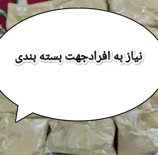 داخل عکس|فعالیت داوطلبانه|زاهدان, |دیوار