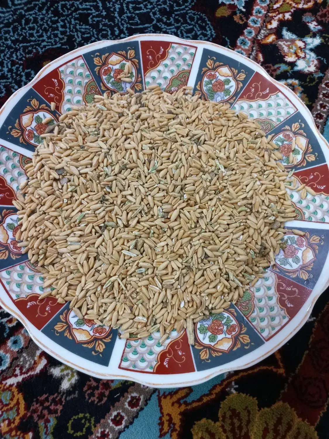 گندم ابی|خوردنی و آشامیدنی|قم, زنبیل آباد|دیوار