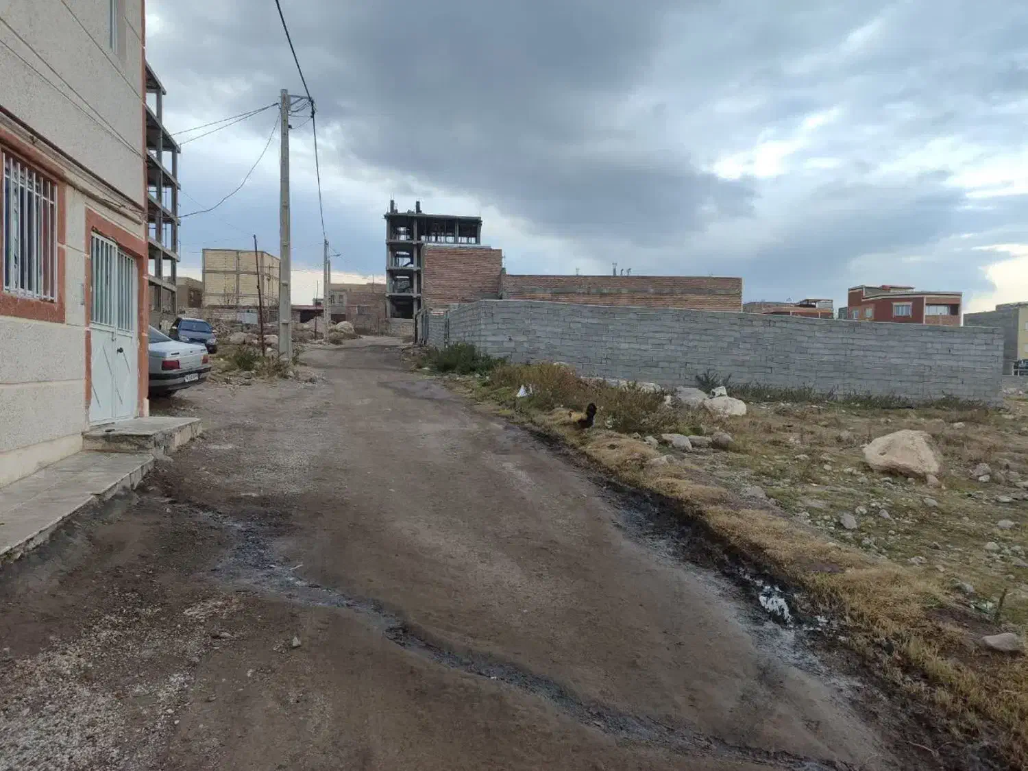 زمین حصارکشی شده|اجارهٔ دفتر صنعتی، کشاورزی، تجاری|مشگین شهر, |دیوار