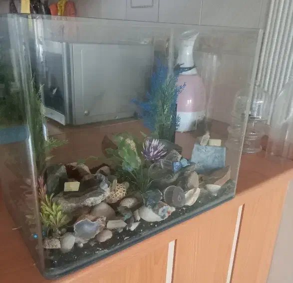 شیشه اکواریوم شرکتی با تخفیف ویژه|ماهی|قدس, شهرقدس|دیوار