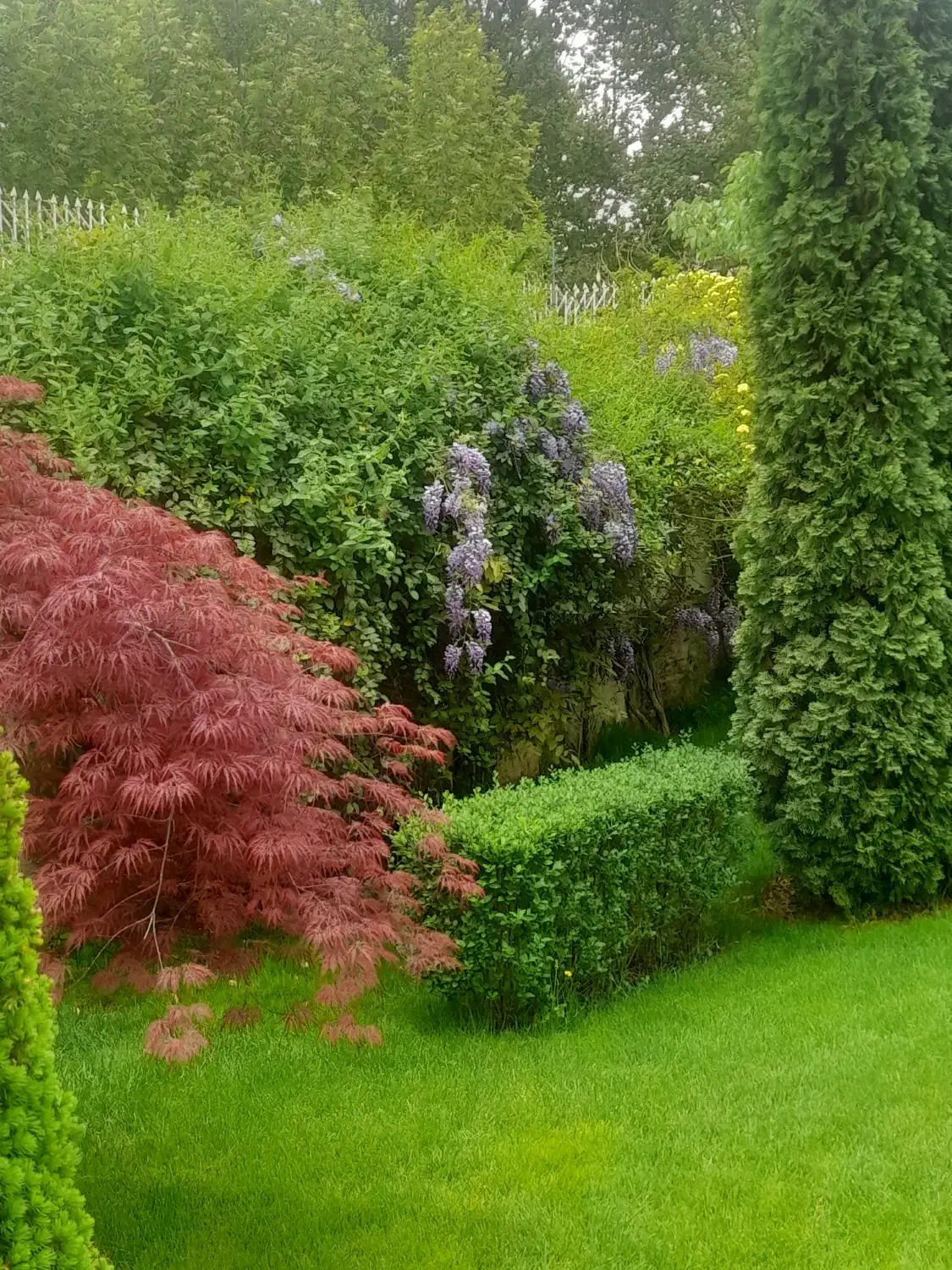 خدمات فنی و نظافت سید|خدمات نظافت|لواسان, |دیوار