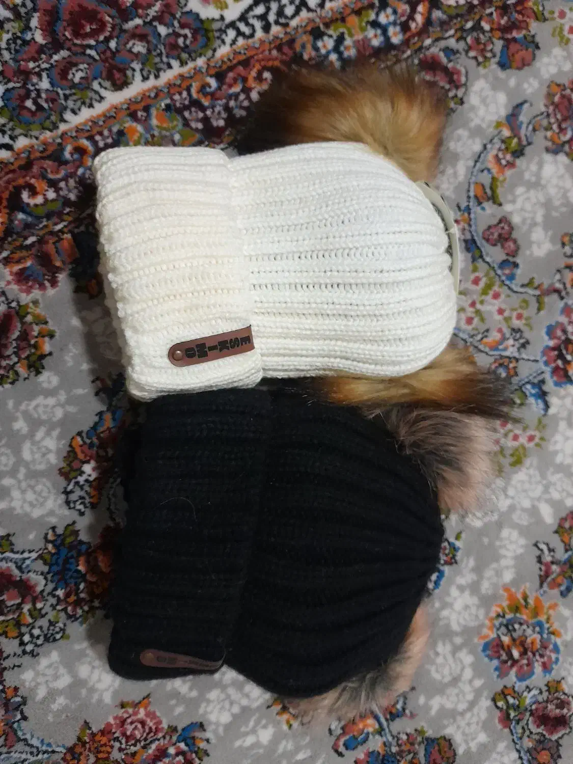 شال و کلاه|لباس|کرمانشاه, |دیوار