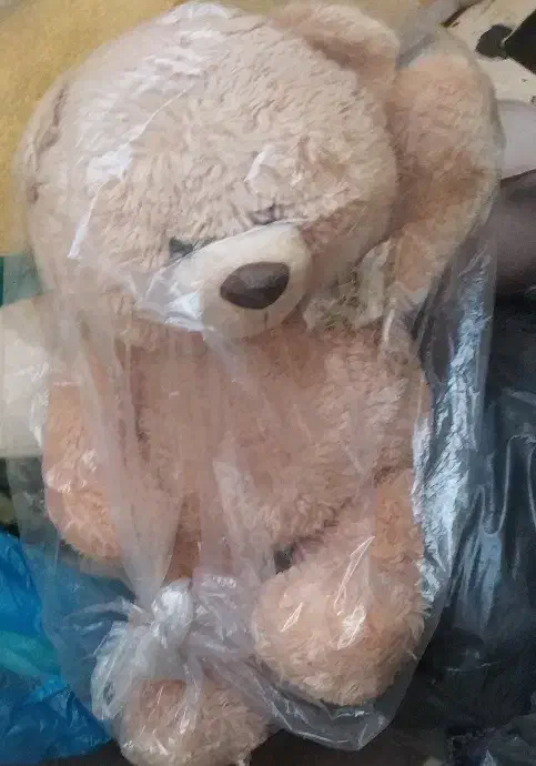 ۴ عدد عروسک بسیار سالم|اسباببازی|مشکیندشت, |دیوار