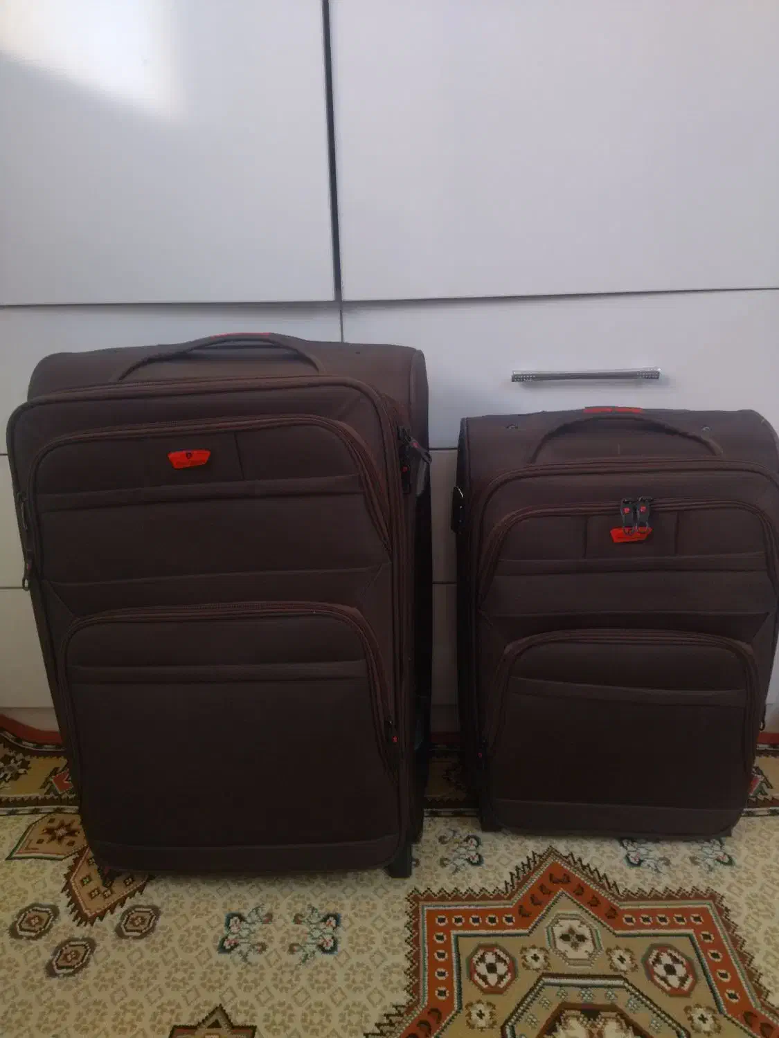 چمدان مسافرتی|کیف، کفش، کمربند|بیرجند, |دیوار