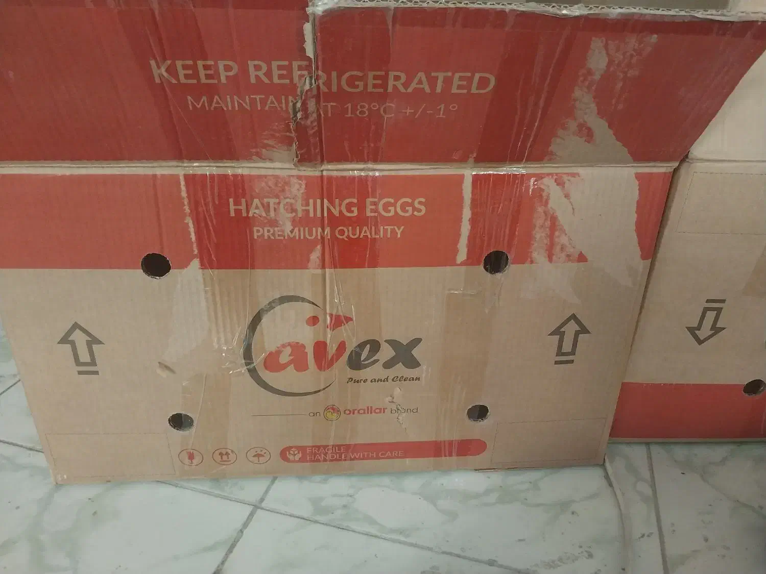 کارتن اساس کشی ۵ لایه محکم دونه ای ۴۵ ت|حراج|تهران, دولاب|دیوار