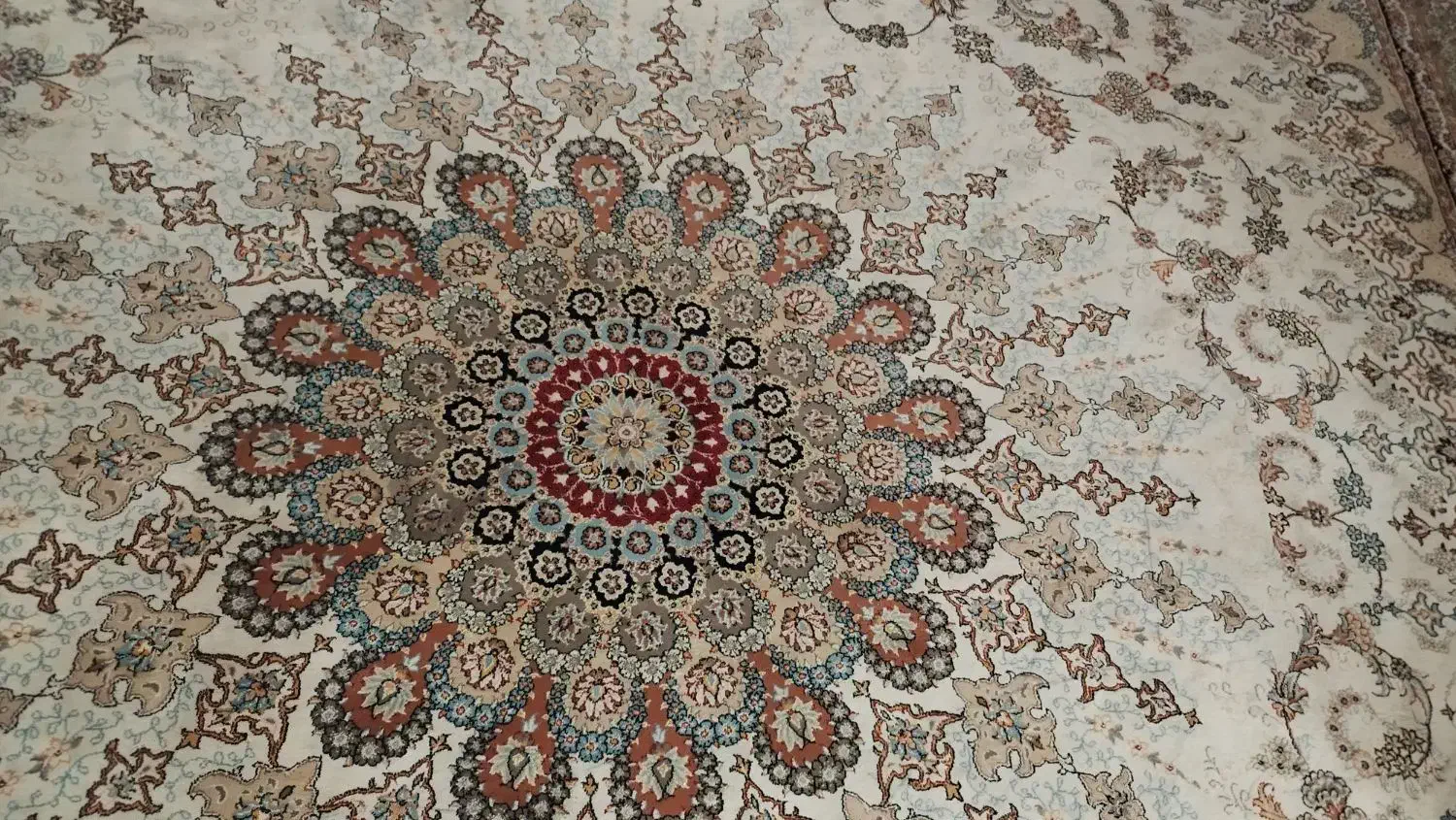 فرش فروشی|فرش|بندرعباس, |دیوار