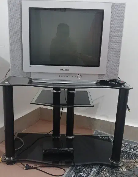 تلویزیون|تلویزیون و پروژکتور|دهلران, |دیوار