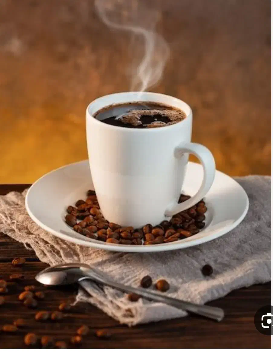 شراکت|کافیشاپ و رستوران|تربتحیدریه, سرمحله|دیوار