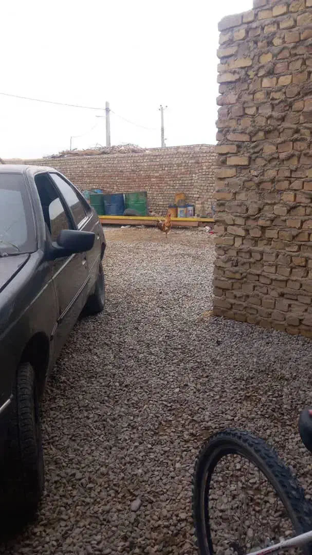 ماشین|خودرو سواری و وانت|نهبندان, |دیوار