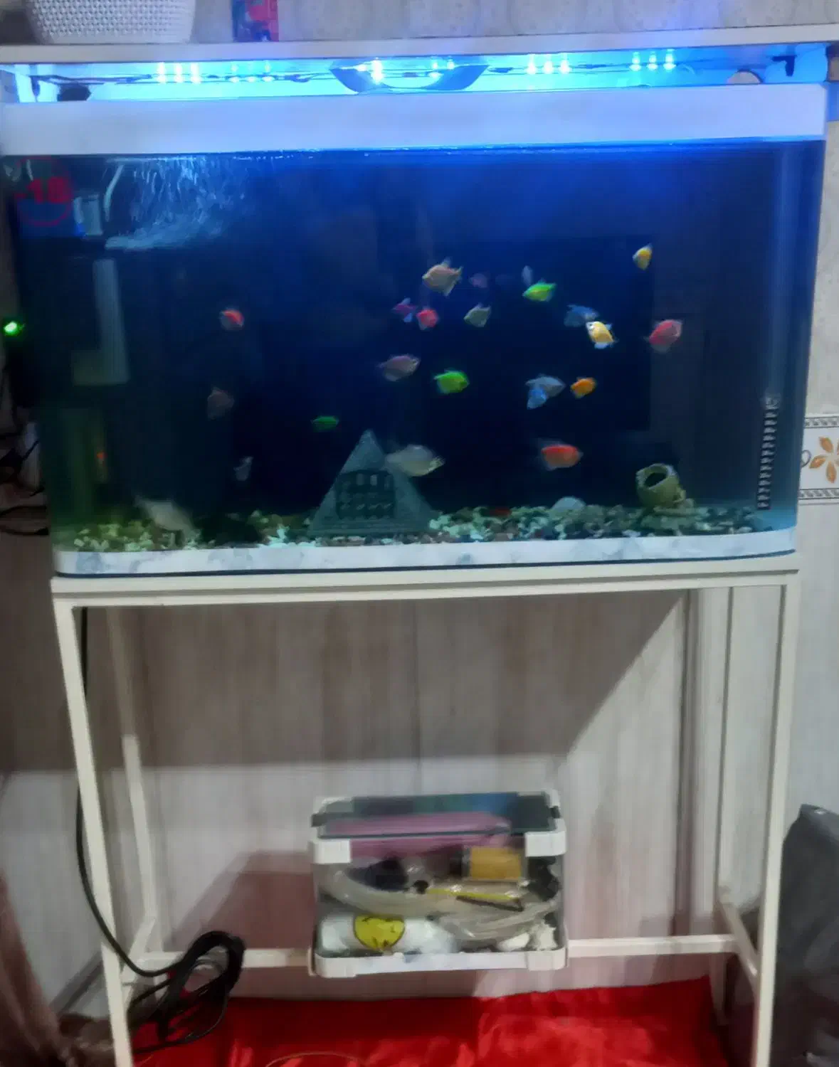 اکواریوم|ماهی|کرج, شهرک البرز ۳|دیوار