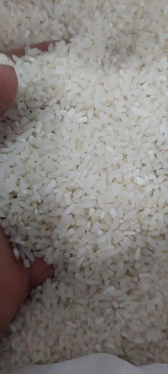 لاشهبرنجهاشمی ..نیمدانه وریزهسورتینگشده|خوردنی و آشامیدنی|کوچصفهان, |دیوار