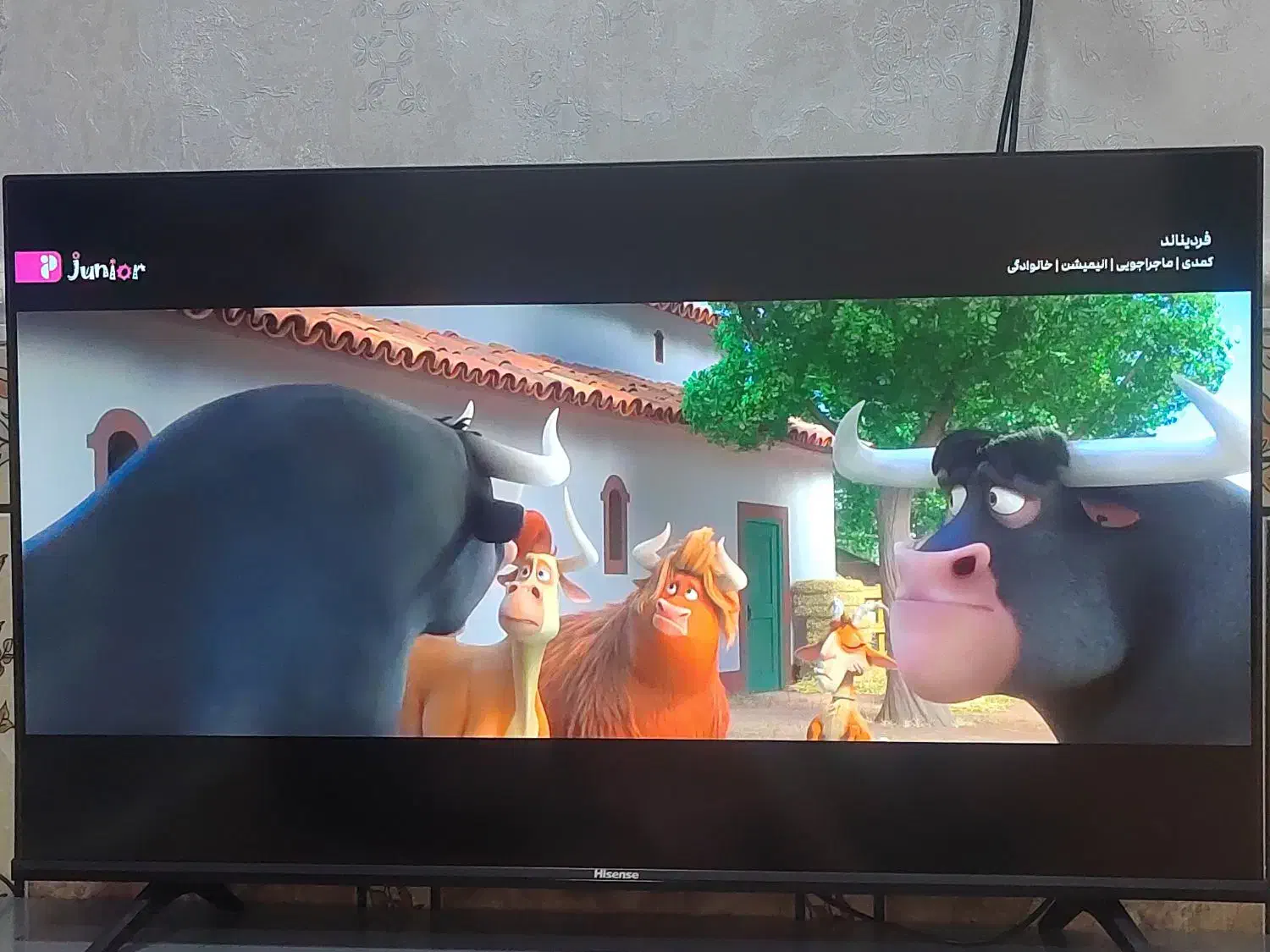 تلویزیون هایسنس A4 سایز ۴۳ اینچ|تلویزیون و پروژکتور|اهواز, کوی مندلی(سه راه خرمشهر)|دیوار