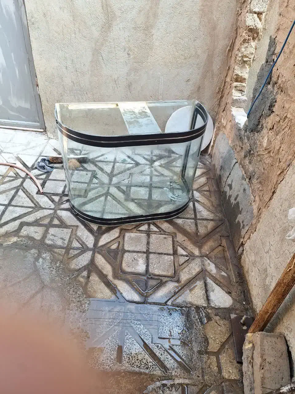 آکواریوم شیشه خم|ماهی|کرمانشاه, |دیوار