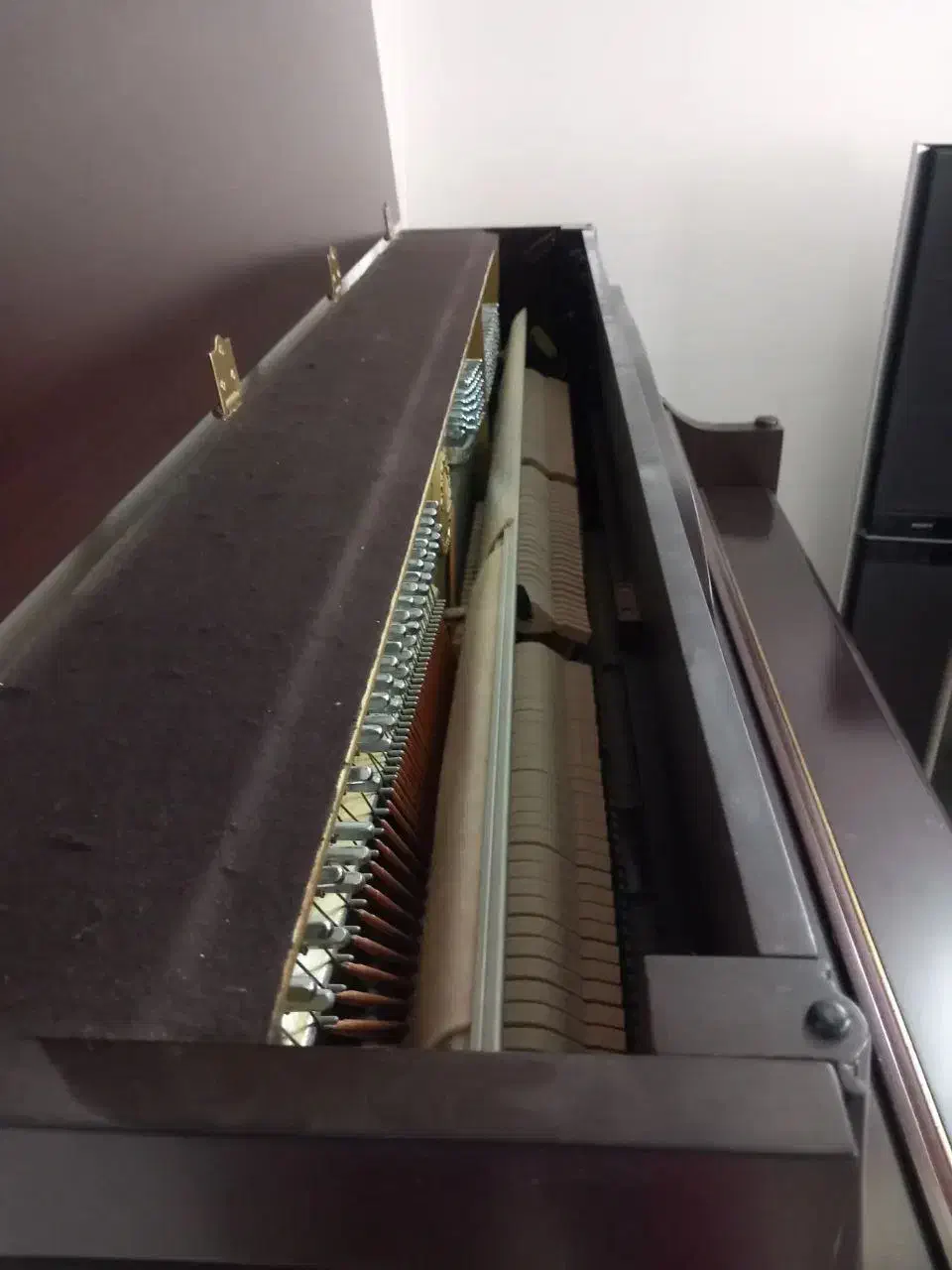 پیانو آگوست هافمن|پیانو، کیبورد، آکاردئون|اصفهان, قلعه طبره|دیوار