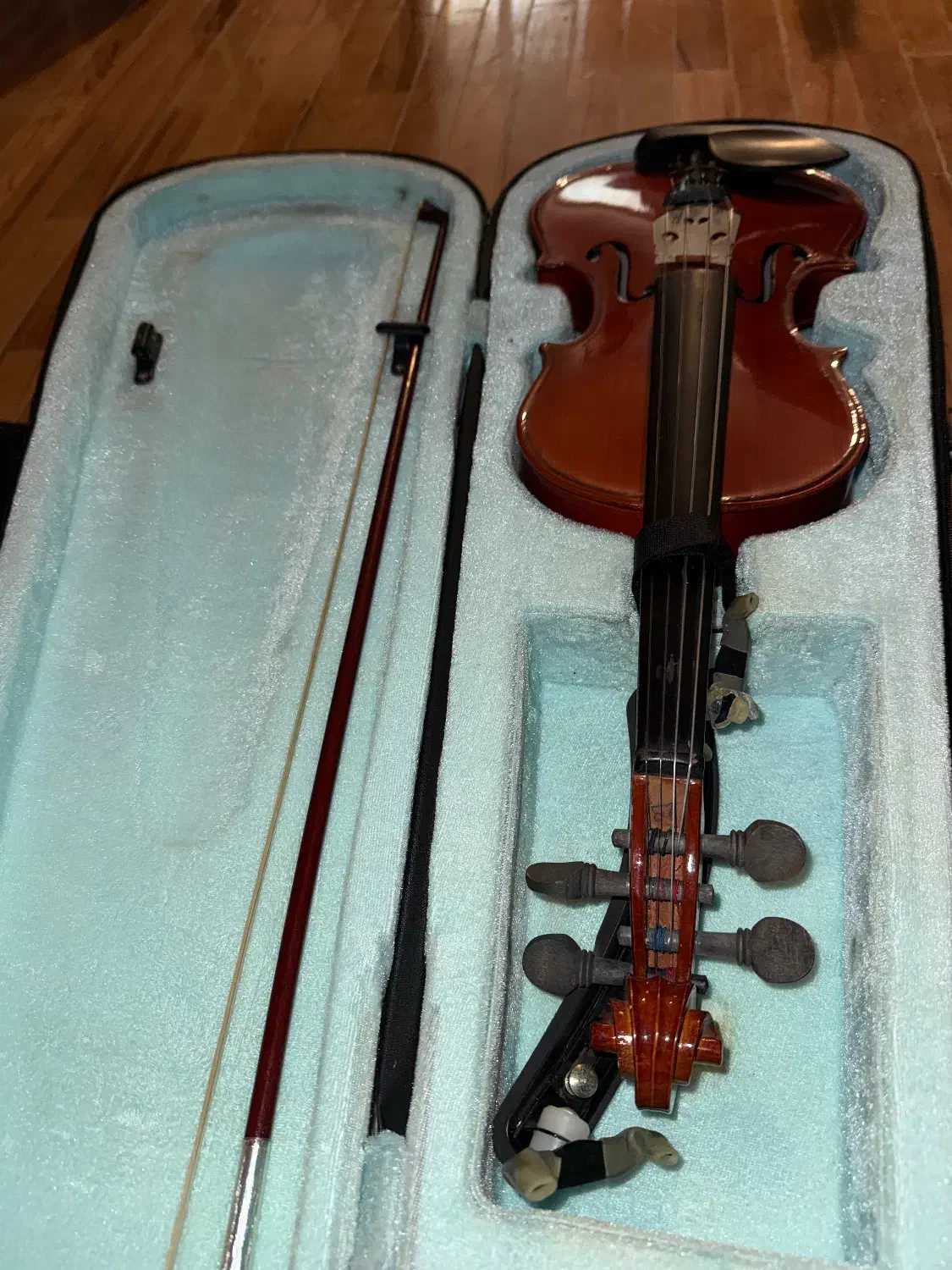 ویالون|ویولن|همدان, |دیوار