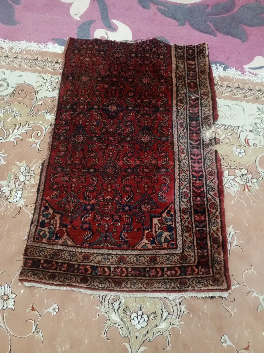 فرض دست بافت|فرش|کرمانشاه, |دیوار