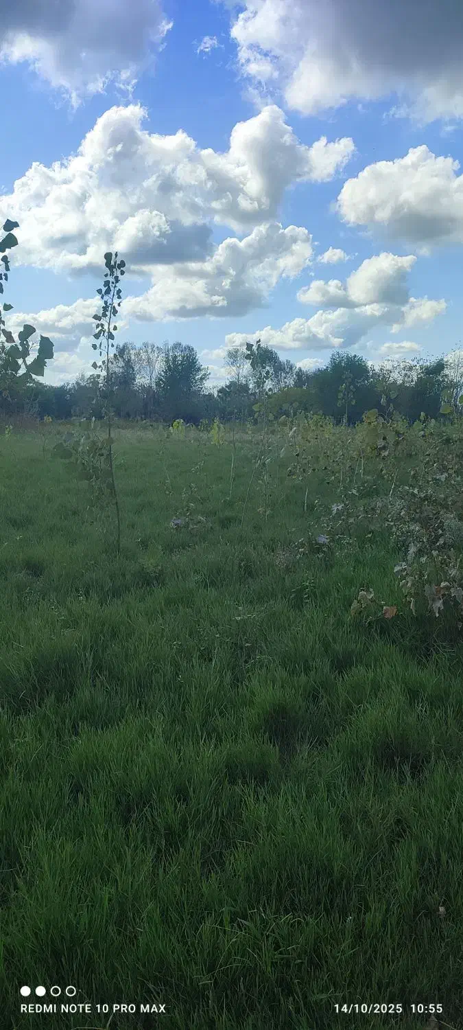 7000 متر زمین زراعی / شالیزار / مزروعی / زیبا کنار|فروش زمین و ملک کلنگی|رشت, گلسار|دیوار