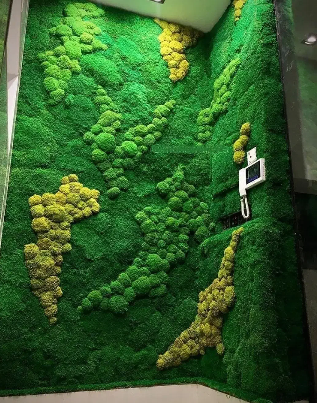 اجرای طرح دیوار سبز (خزتثبیت)|تابلو، نقاشی، عکس|شیراز, گلکوب|دیوار