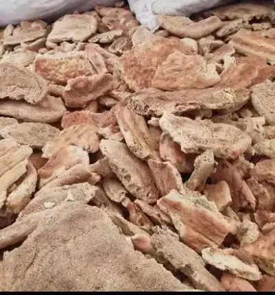 نان خشک تمیز|لوازم جانبی حیوانات|زابل, |دیوار