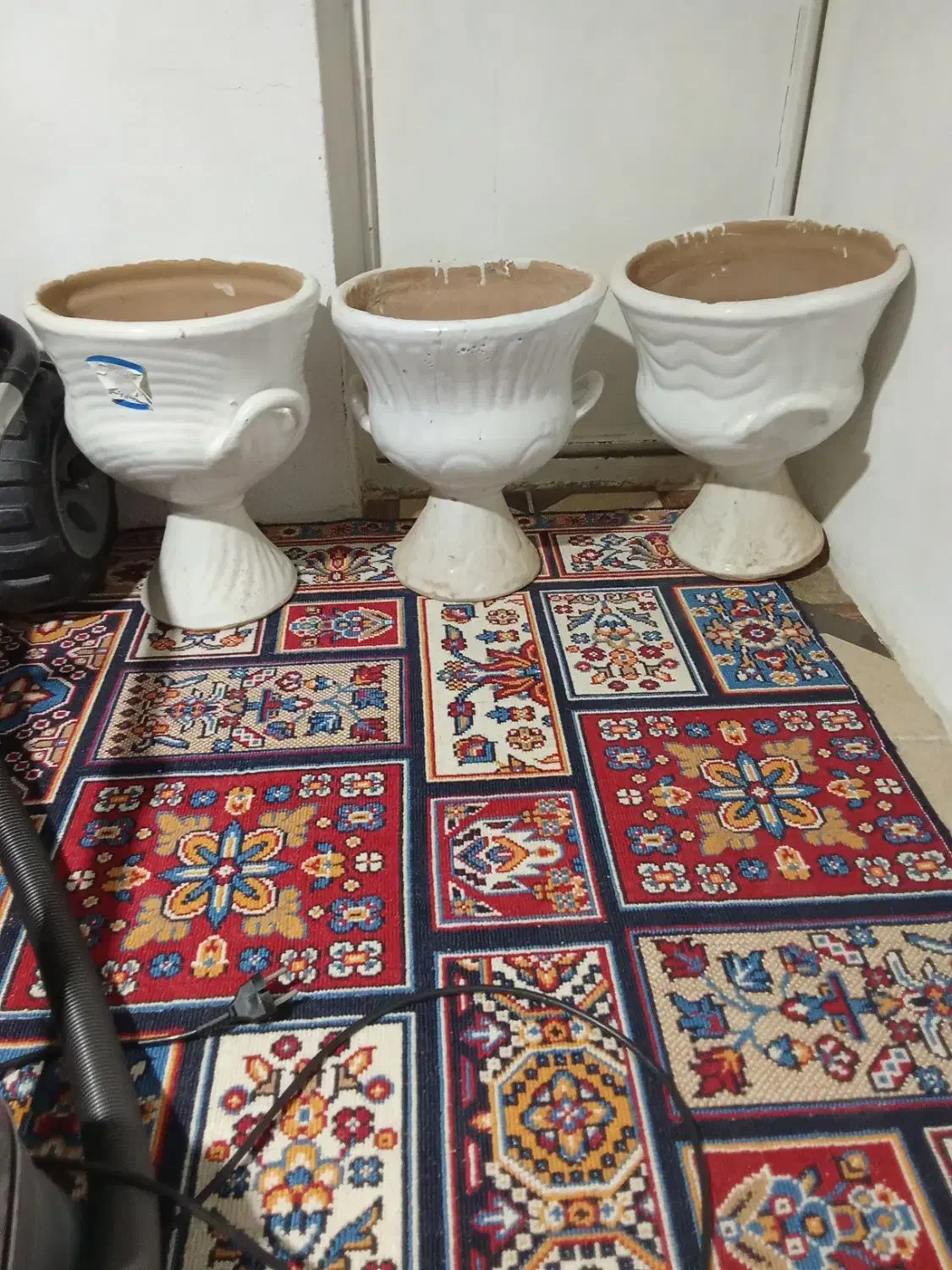 گلدان|گل و گیاه طبیعی|قصرشیرین, |دیوار