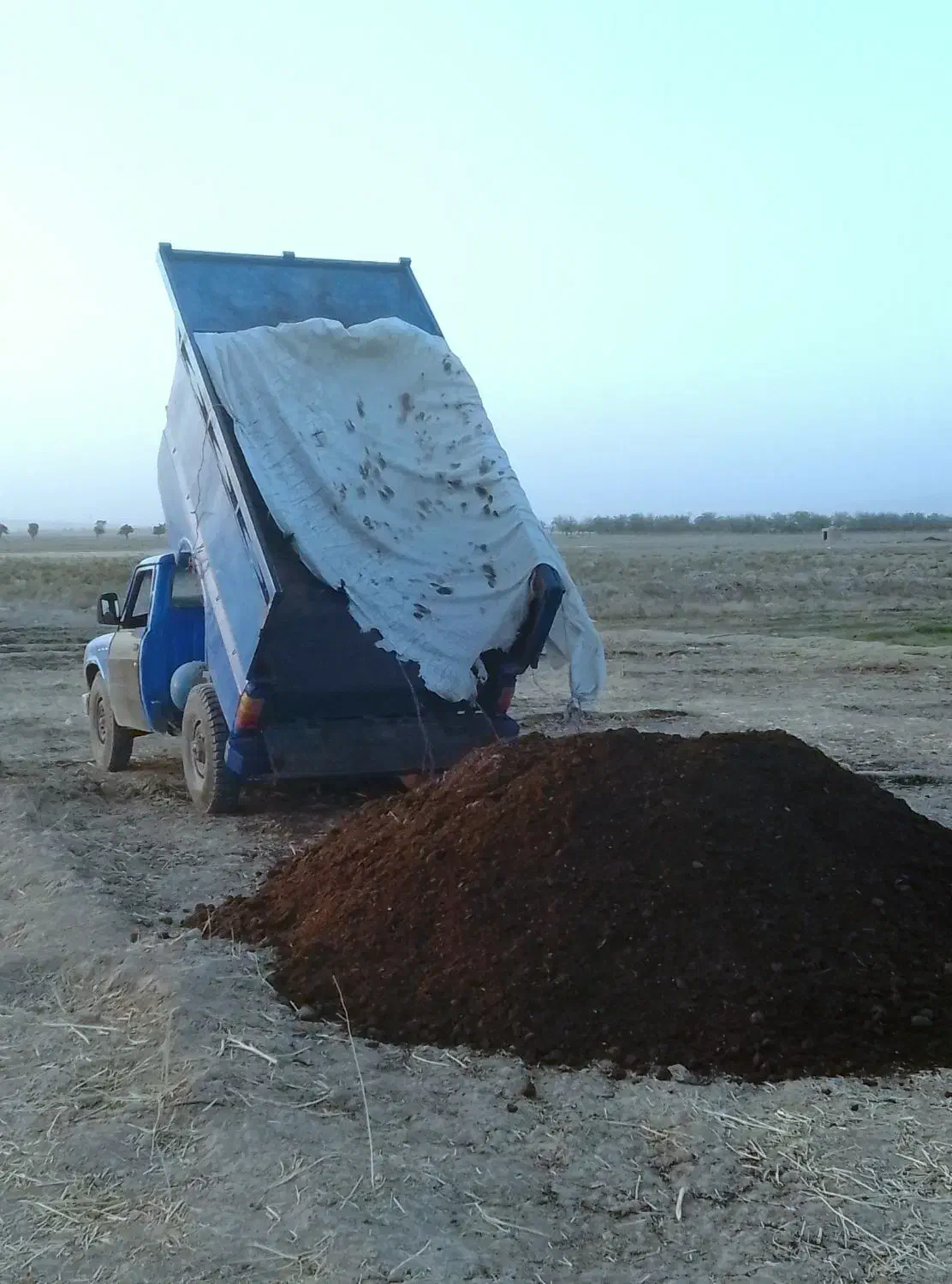کود گاوی درجه 1 استان قدس رضوی|خدمات باغبانی و درختکاری|مشهد, شهرک صنعتی توس|دیوار