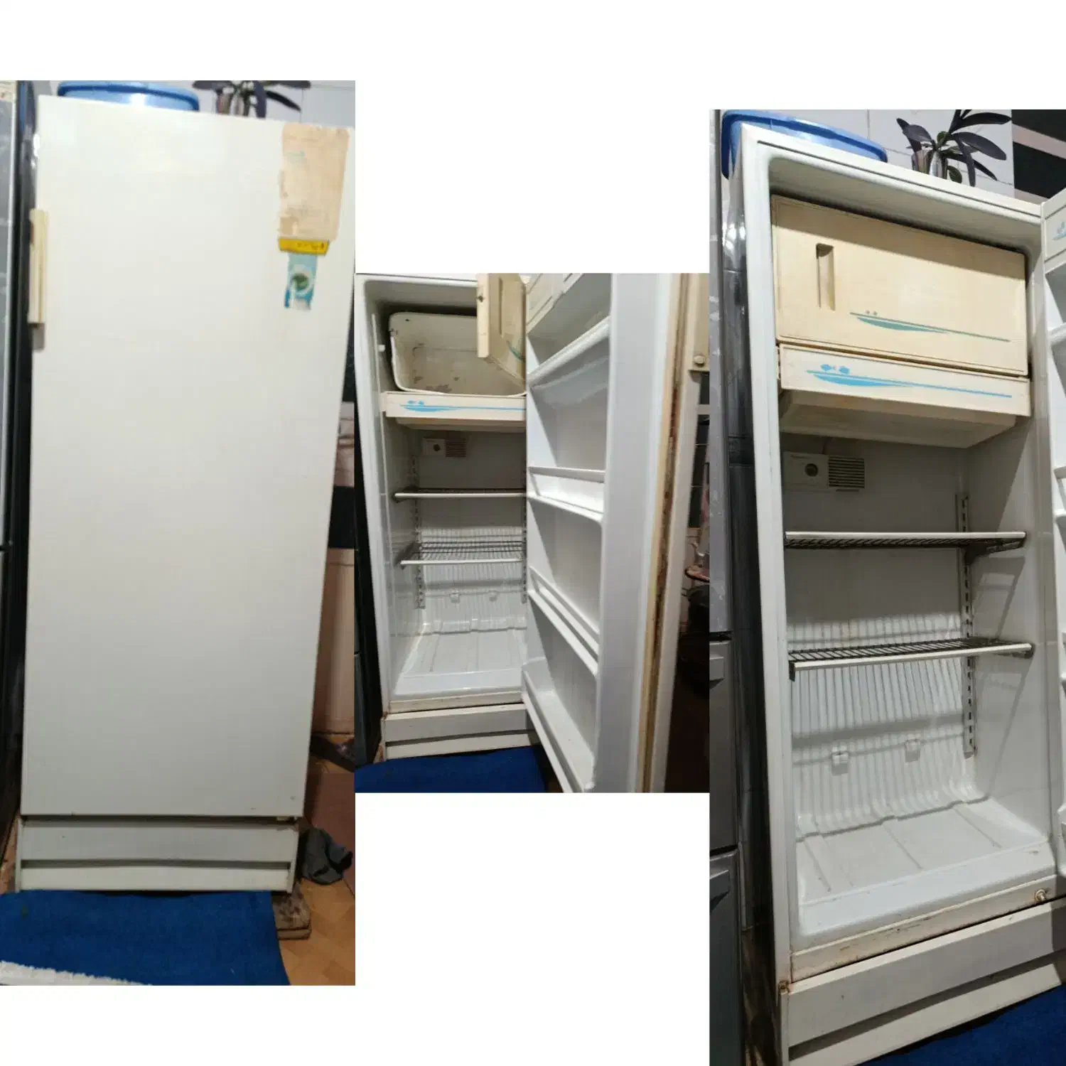 یخچال|یخچال و فریزر|لالی, |دیوار