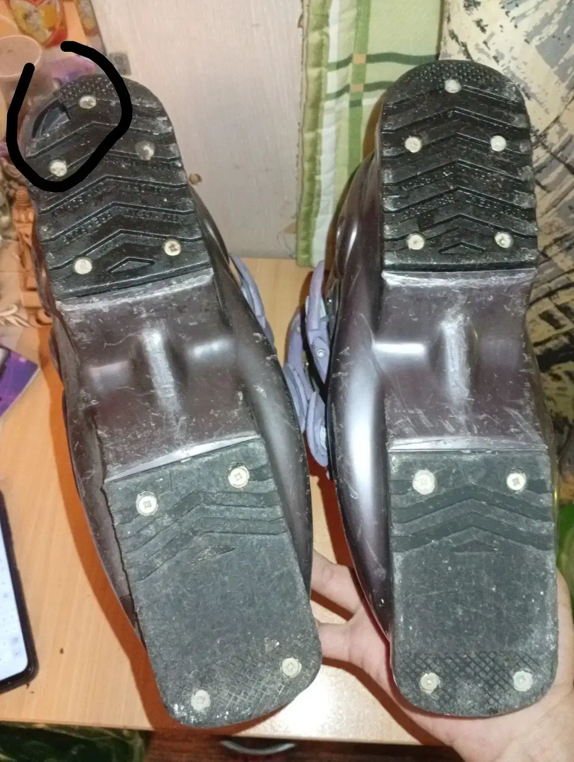 بوت اسکی salomon اصل|ورزش‌های زمستانی|ری, شهادت|دیوار