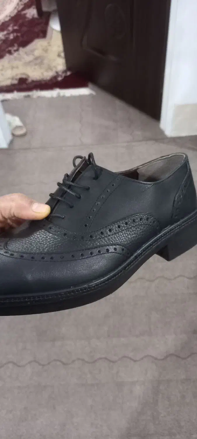 کفش مردانه|کیف، کفش، کمربند|فسا, |دیوار