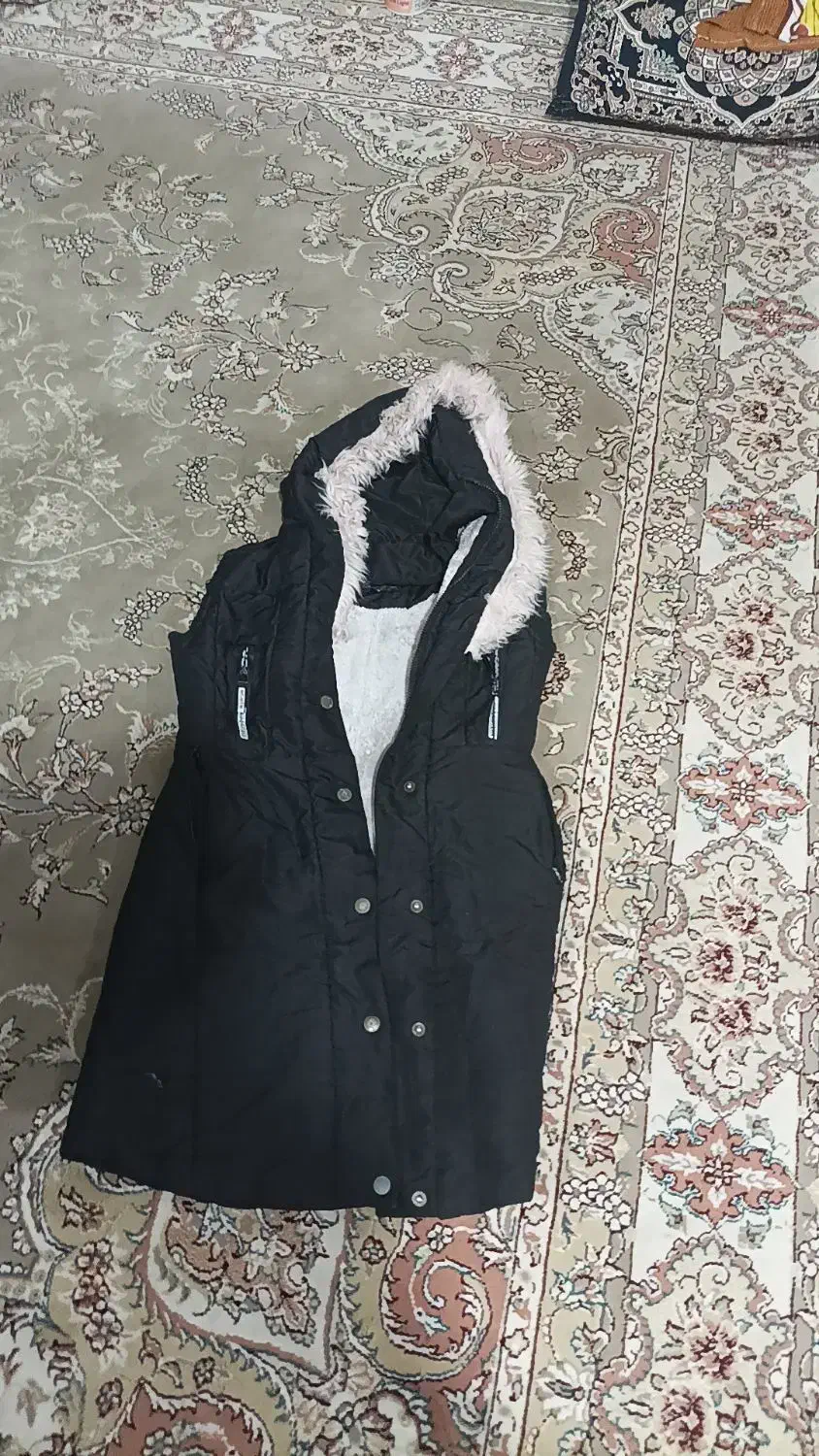 پالتو|لباس|چگنی, |دیوار