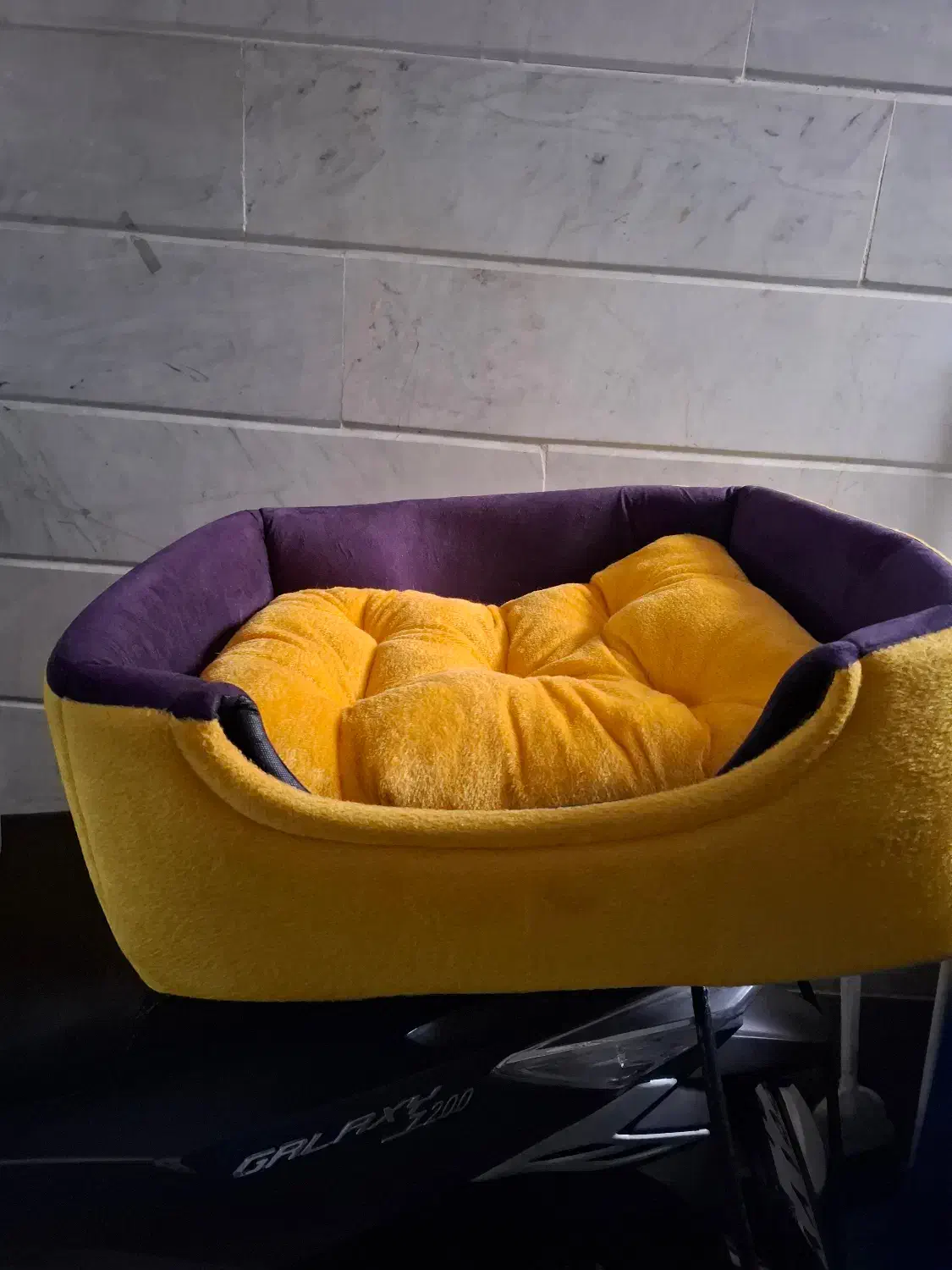 جای خواب گربه|لوازم جانبی حیوانات|تهران, قزل قلعه|دیوار