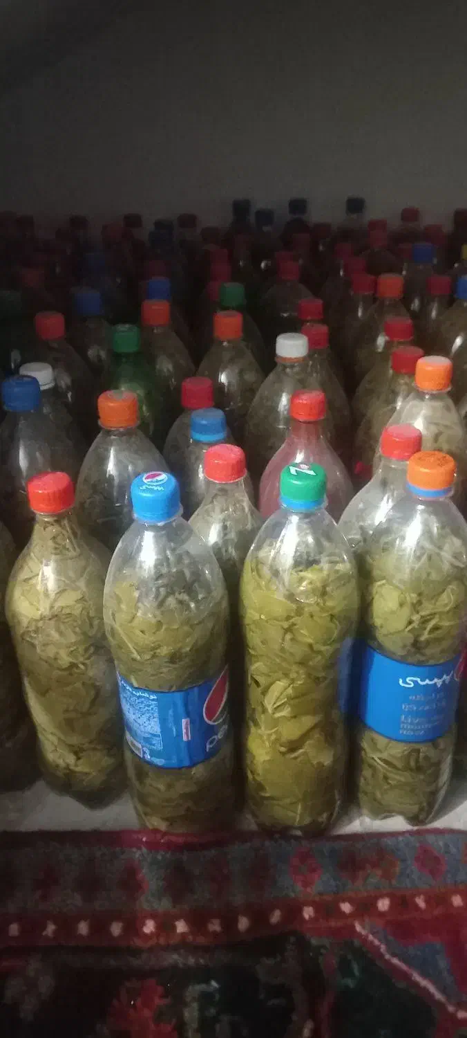 فروش برگ مو کشمش تازه امسال ۷۰هزار تومان|خوردنی و آشامیدنی|آذرشهر, |دیوار