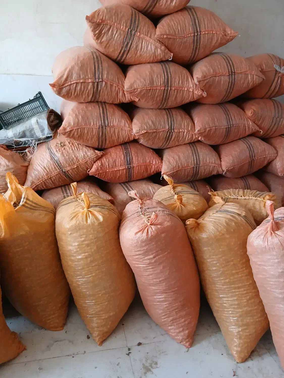 بادام مغان آفتاب خشگ ...نوع گلی|خوردنی و آشامیدنی|پارس‌آباد, |دیوار