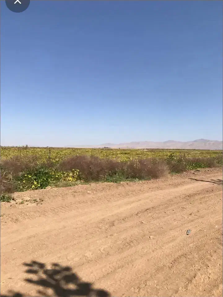 باغ شهر شهریاوران سهرین|فروش زمین و ملک کلنگی|قره پشتلو, |دیوار