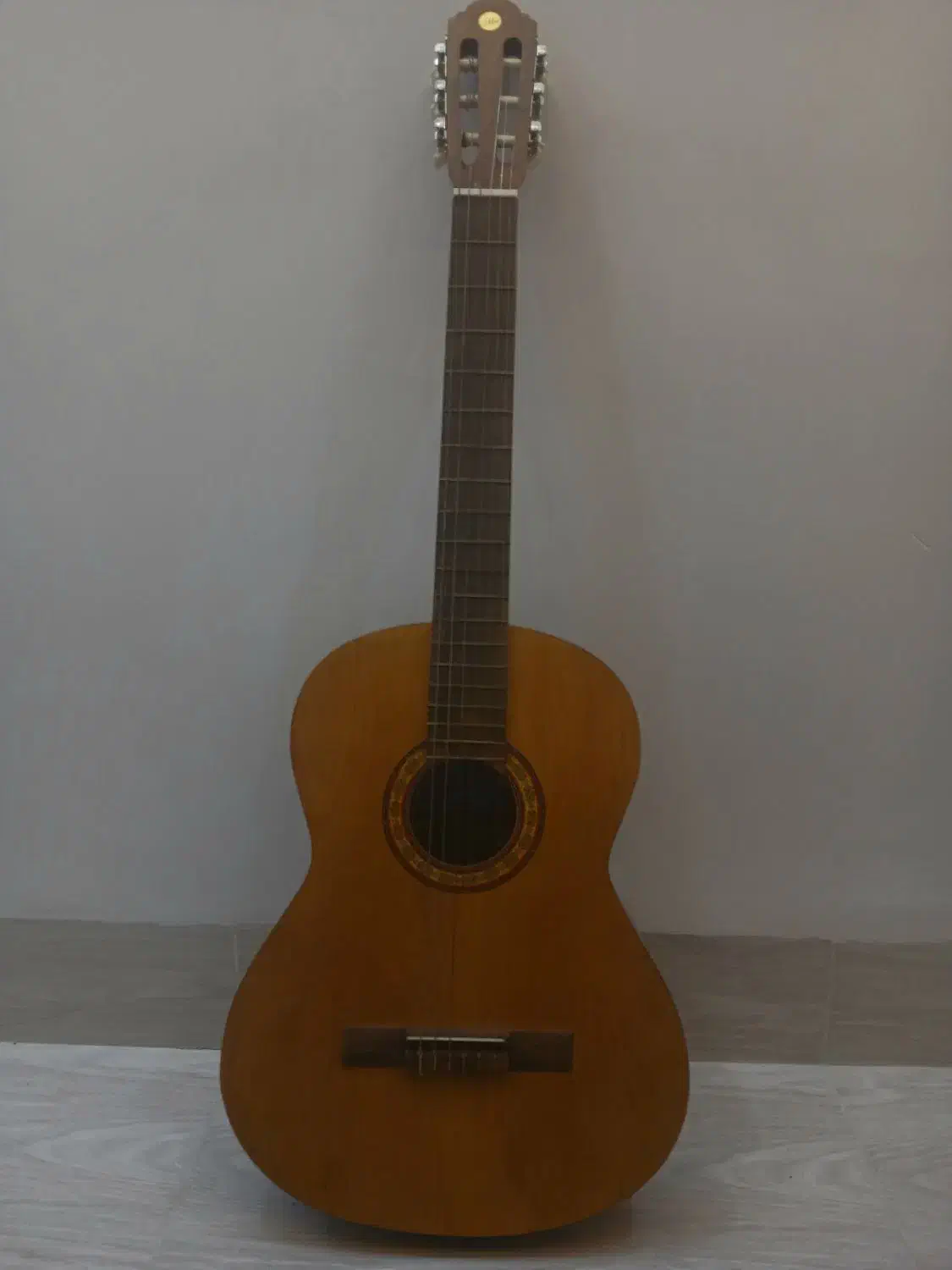 گیتار کلاسیک|گیتار، بیس، امپلیفایر|سلماس, |دیوار