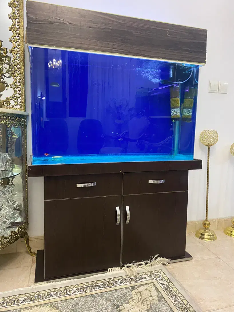 آکواریوم شیشه خم با کمد باهمه تجهیزات|ماهی|هشتگرد, فاز ۳ مهستان|دیوار