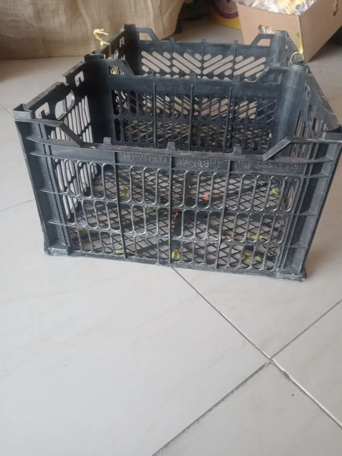 جعبه 15 کیلویی|ظروف نگهدارنده، پلاستیکی، یک‌بارمصرف|شیروان (خراسان), |دیوار