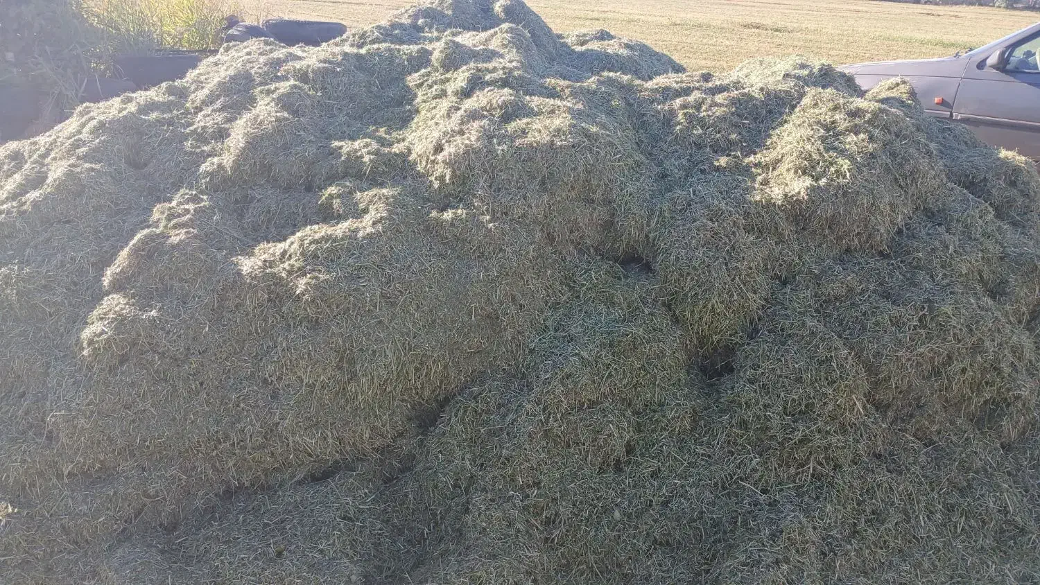 یونجه|خدمات باغبانی و درختکاری|کامیاران, |دیوار