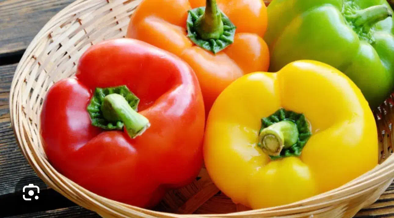 دعوت به همکاری|استخدام صنعتی، فنی، مهندسی|دهاقان, |دیوار