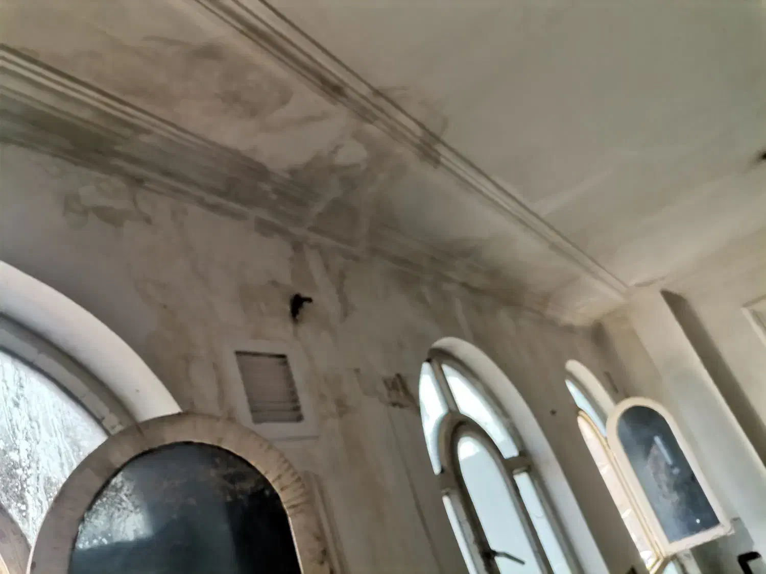 رنگ آمیز هستم رنگ آمیز ساختمان انواع رنگ امیزی|خدمات پیشه و مهارت|زابل, |دیوار