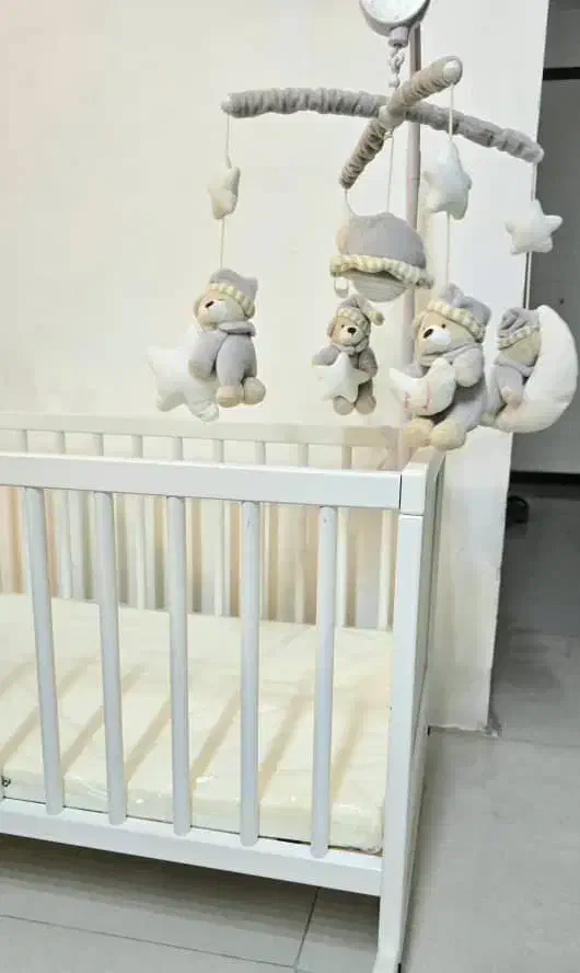 تخت نوزاد، تخت کودک|تخت و صندلی بچه|بندرعباس, |دیوار