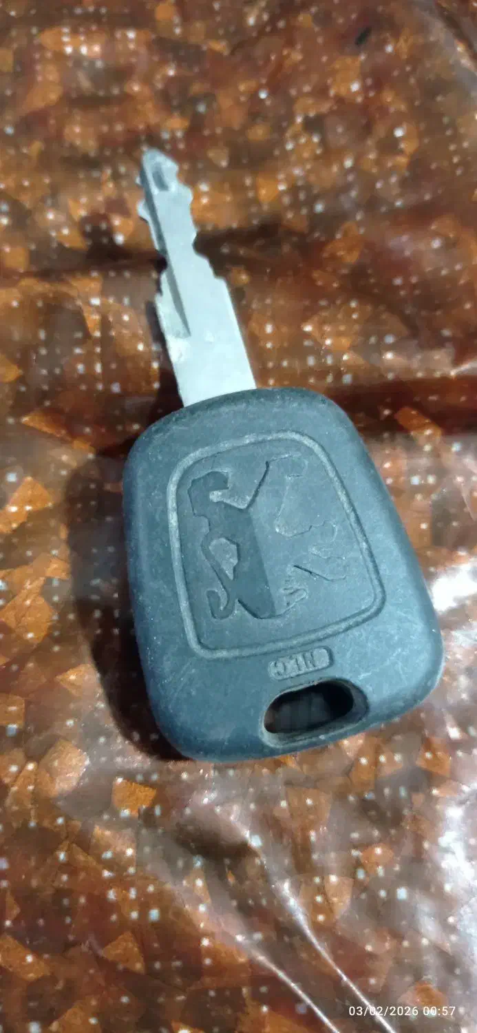 qfگمشده|اشیا|خوی, |دیوار