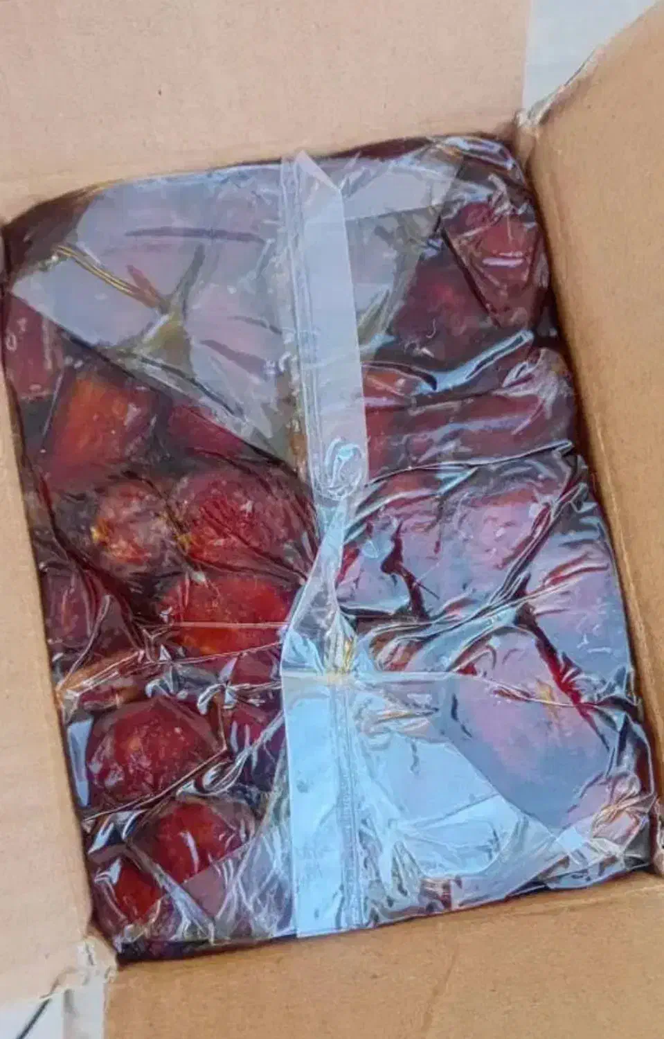 خرما کبکاب|خوردنی و آشامیدنی|رشت, انصاری|دیوار